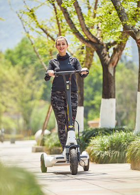 Mobility 13'' Rear Wheel Dc Motor E Bike Scooter