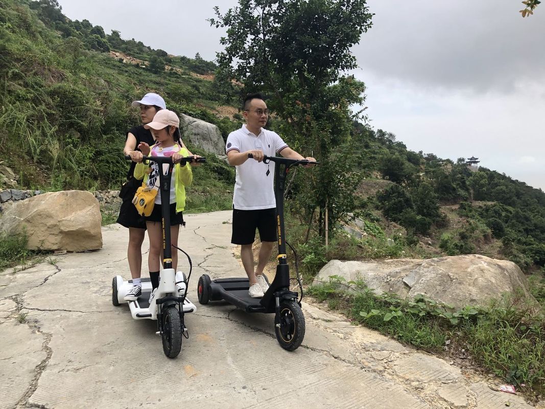 Mobility 13'' Rear Wheel Dc Motor E Bike Scooter