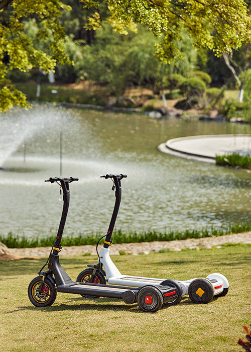45Km 3 Wheel Stand Up Scooter